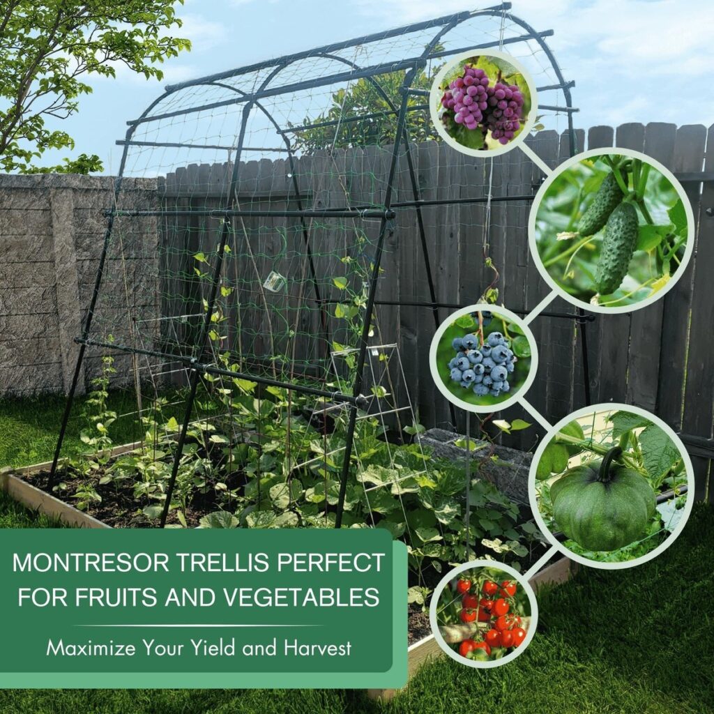 Vertical & Support Structures: Trellises, Arbors, and Garden Frames ...